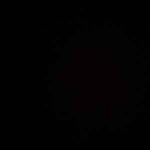 Meet your Posher, Lavar